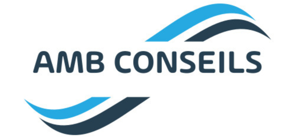 Amb Conseils-logo